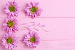 Pink daisy flowers on wooden background photo