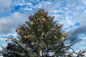 big xmas tree outdoor on cloudy sky background photo