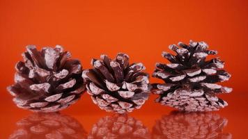 Coniferous cone on an orange background photo