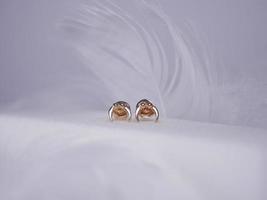 Beautiful gold earrings close-up on a white background photo
