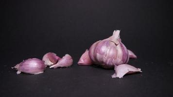 Ripe garlic close-up on a black background photo