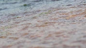 mare onde dettagli su un' soleggiato giorno video