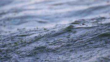 hav vågor detaljer på en solig dag video