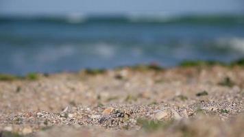 Meer Wellen und Strand Einzelheiten video