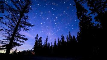 nature background, amazing night sky photo