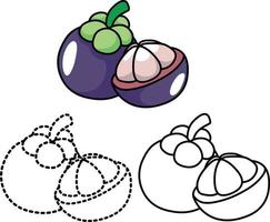 Mangosteen fruit coloring pages vector design