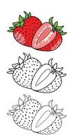 paginas a aprender colorante vegetales y Fruta fresas para niños vector