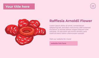 rafflesia arnoldii único en peligro de extinción flor planta desde Indonesia vector ilustración bandera póster modelo aislado en paisaje fondo de pantalla. grande flor modelo con texto colocación guía.