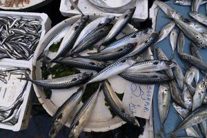 naples street fish market in spanish district photo