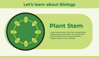 Biology natural plant stem system cells vector illustration with presentation, banner, or poster descriptive texts isolated on landscape wallpaper. Slide page design with simple and flat style.