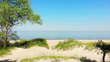 Zoom in view typical Baltic sea coast landscape beach view in Lithuania. Blue sky with no clouds, small waves in the sea and sand dunes partially overgrown with sedge grass video