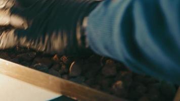 A Man Picks Soil Particles With His Hand, Close-up, After Drying. Soil Research In The Laboratory video