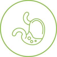 Stomach Vector Icon