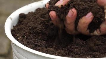 farmers squeeze fertile soil in pots video