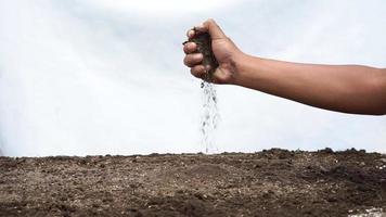 hands holding and dropping fertile soil video