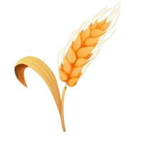 Wheat spikelet, grain on straw in cartoon style, detailed isolated on white background. Agriculture plant with seeds. Vector illustration