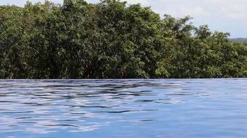 Infinity swimming pool with summer nature tree background bright sky day time. Loop footage video.