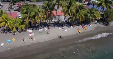 un' spiaggia con palma alberi e in vacanza turisti nel guadalupa video