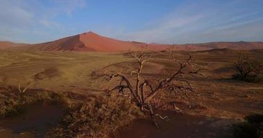 paysages de le namib désert, aérien vue video
