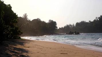 salvaje vacío playa en seychelles video