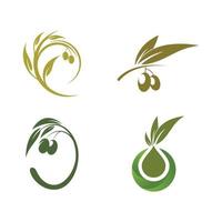olive logo template vector