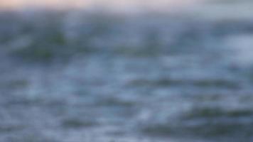 mer vagues détails sur une ensoleillé journée video