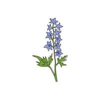 Dibujo de una sola línea Beauty Fresh Larkspur para el logotipo del jardín. decorativo del concepto del delfinio perenne para la impresión del cartel del arte de la decoración de la pared del hogar. Ilustración de vector de diseño de dibujo de línea continua moderna