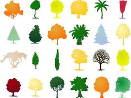 A set of trees. Vector illustration