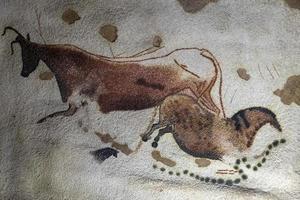 Lascaux Petroglyph detail photo