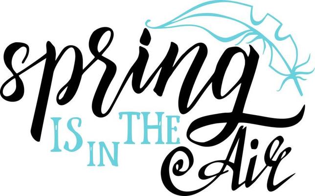 Hand lettered inspirational quote 'Spring is in the air'. Hand brushed ink lettering. Bird's feather. Modern brush calligraphy