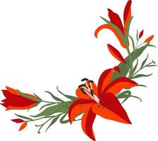Lily border flower floral clipart vector