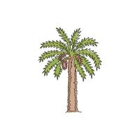 One continuous line drawing of beauty and exotic date palm tree. Decorative phoenix dactylifera plant concept for plantation company. Trendy single line draw design vector graphic illustration