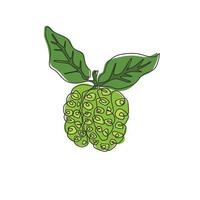 un dibujo de una sola línea de noni orgánico saludable completo para la identidad del logotipo de huerto. concepto de fruitage tropical fresca para el icono de jardín de frutas. Ilustración de vector gráfico de diseño de dibujo de línea continua moderna