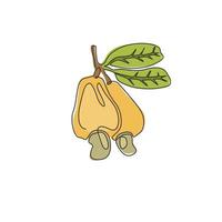 un dibujo de una sola línea de una manzana de anacardo orgánica y saludable para la identidad del logotipo de la huerta. concepto de fruitage tropical fresca para el icono de jardín de frutas. Ilustración de vector de diseño de dibujo de línea continua moderna