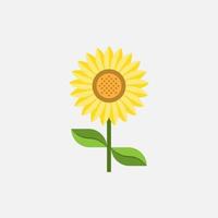 Sunflower on white background vector clip art. Yellow flower, plant vector illustration. Free vector clip art.
