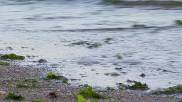 mer vagues et des pierres video