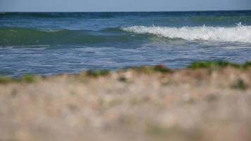 hav vågor och strand detaljer video