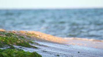 Meer Wellen und Strand Einzelheiten video