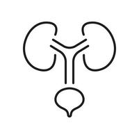 Human Urinary System Line Icon. Health Bladder and Kidney Linear Pictogram. Urology Disease Outline Icon. Anatomical Healthy Internal Organs. Editable Stroke. Isolated Vector Illustration.