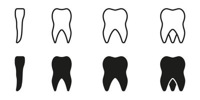 tipos de humano dientes línea y silueta icono colocar. adulto diente anatomía. incisivo, canino, premolar, molar dientes pictograma. dental tratamiento signo. odontología símbolo. aislado vector ilustración.