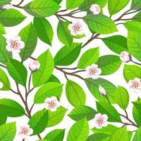 Floral seamless pattern. Cherry blossom. Vector illustration of leaves and flowers. Spring background.