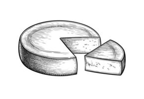 Gruyère queso. tinta bosquejo aislado en blanco antecedentes. mano dibujado vector ilustración. Clásico estilo carrera dibujo.