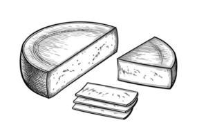 Gruyere. Half round of cheese, block and slices. Ink sketch isolated on white background. Hand drawn vector illustration. Vintage style stroke drawing.