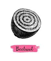 Half beetroot. Ink sketch isolated on white background. Hand drawn vector illustration. Retro style.