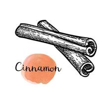 Cinnamon sticks. Ink sketch isolated on white background. Hand drawn vector illustration. Retro style.