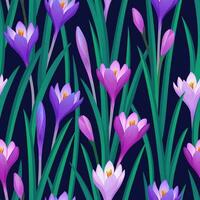 Floral seamless pattern with crocuses. Vector illustration of grass and flowers. Spring and summer background.