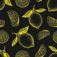 Seamless pattern with hand drawn lemons. Summer background. vector