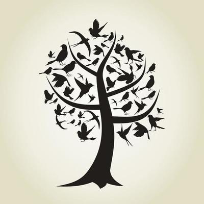 On a tree birds sit. A vector illustration