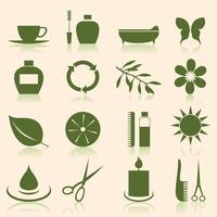 Set of flat icons on a theme spa. Vector illustration