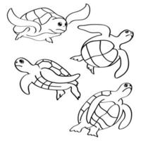 Turtle icon. Outline set turtle vector icon for web design isolated on white background